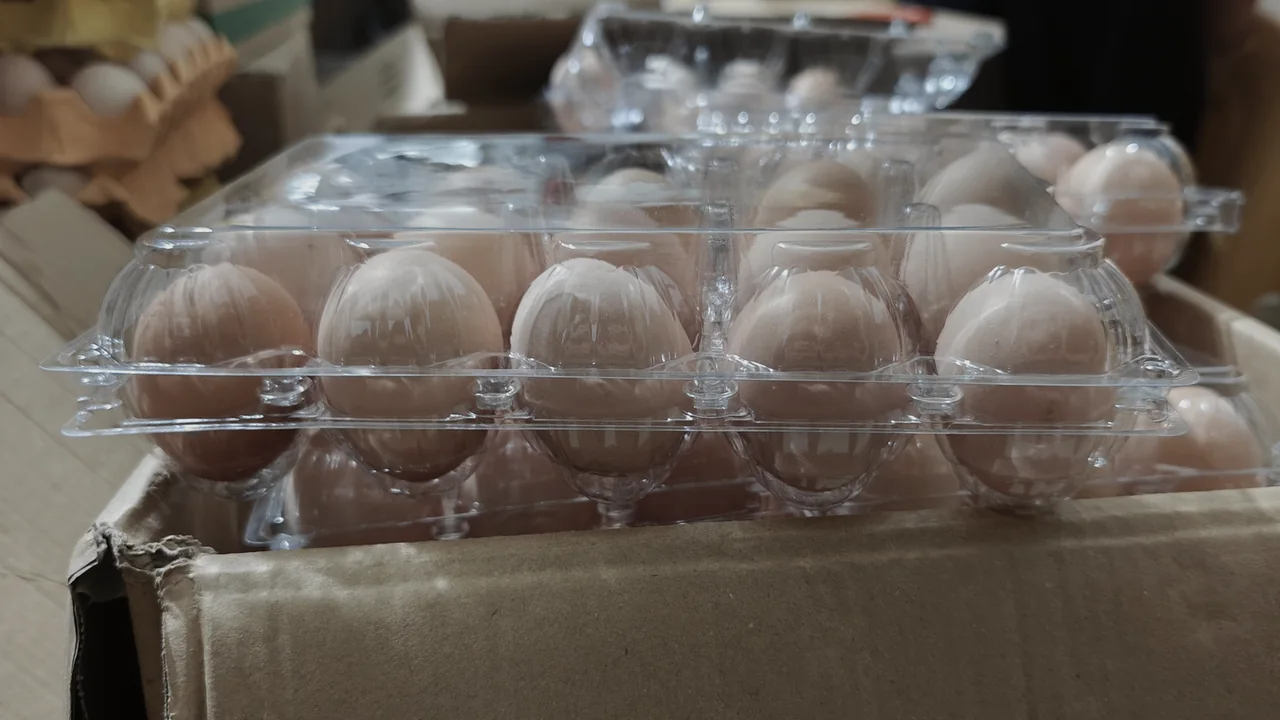 透明蛋盒装入外箱的现场画面